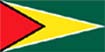 guyana vlag